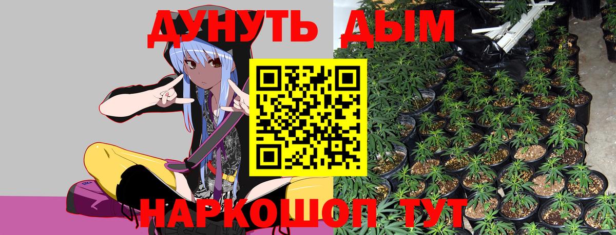 Алатырь  Бошки марихуана индика  Канабис OG Kush  Вход с VPN 